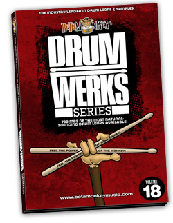 Drum Werks XVIII Pop Indie Rock Piccolo snare flavored drum loops